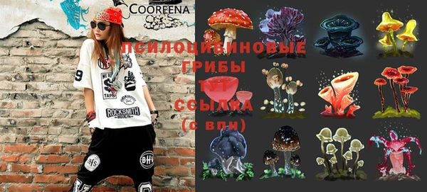 МДПВ Балахна