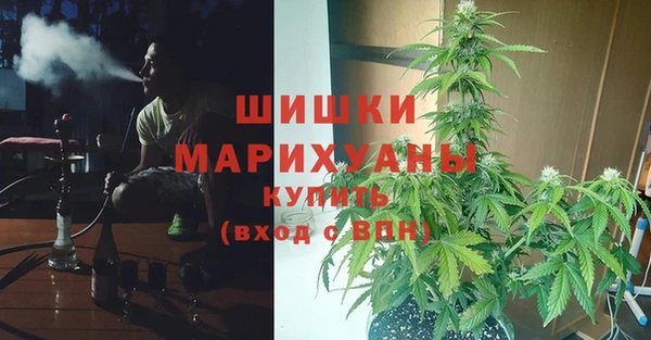 дмт Елабуга