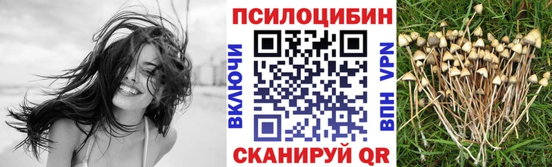 мега онион  Коммунар  Псилоцибиновые грибы GOLDEN TEACHER 